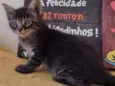 Ted
