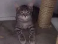 Sam