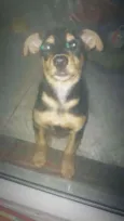 Ainda não tem