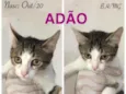 ADÃO