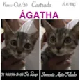 ÁGATHA