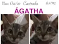 ÁGATHA