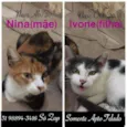 NINA E IVONE