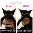 ANA E MARLI