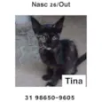 TINA
