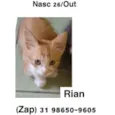 RYAN