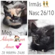 TINA E MEG