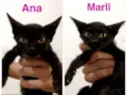 ANA E MARLI