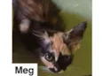 MEG RAYAN