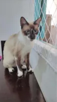 PERLA