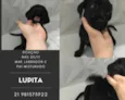 Lupita