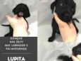 Lupita