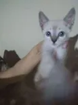 Não tem.nome