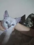 Não tem.nome