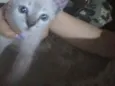 Não tem.nome