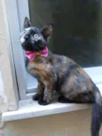 Nina