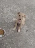 BILLY