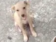 BILLY