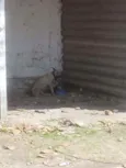 Não Sei 