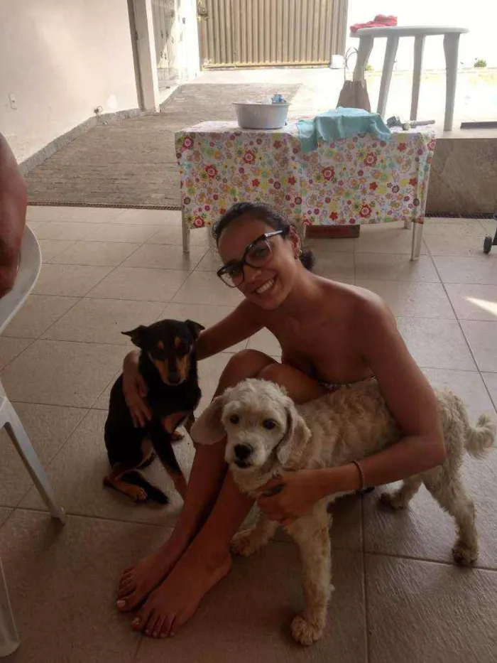 Cachorro ra a Não tem raça idade 6 ou mais anos nome Pingo