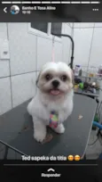 Ted