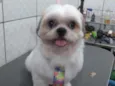 Ted
