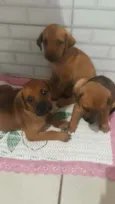 Não tem nomes 