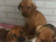 Não tem nomes 