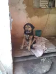 Boris