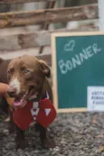 Bonner