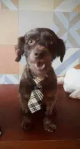 Oswaldo