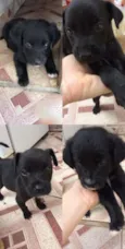 !!!!