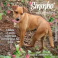 Sininho