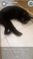 Felix