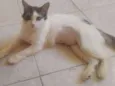 Nina