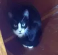 Nina