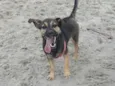 Kira