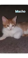 REMI