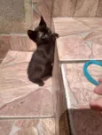 Baby 1
