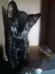 Baby 1