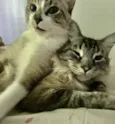Jhonny e Atlas 