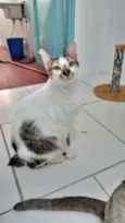 Driguinho