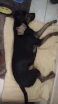 Lua