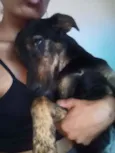 Lua