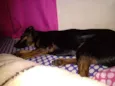 Lua
