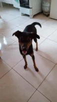 Lua