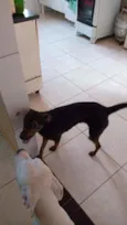 Lua