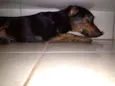 Lua
