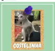 Costelinha