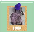 Lord